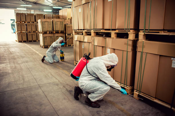Best Emergency Pest Control  in Ridgeway, VA