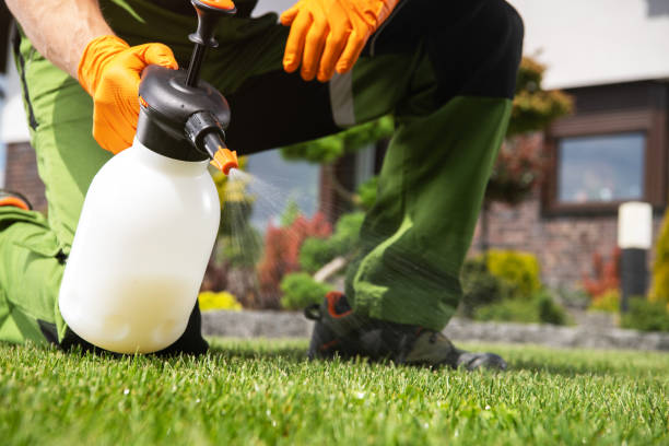 Best Local Pest Control Services  in Ridgeway, VA