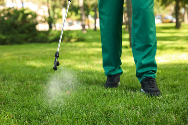 Best Mosquito Control Services  in Ridgeway, VA